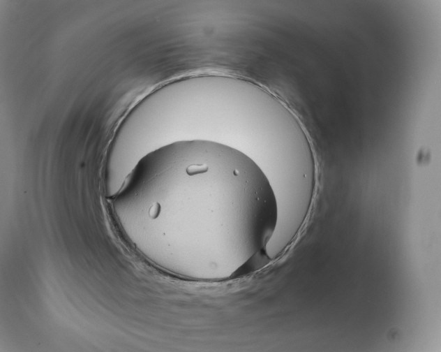 X0000111900001200908171249