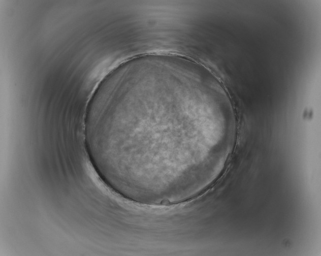 X0000111900002200908171249