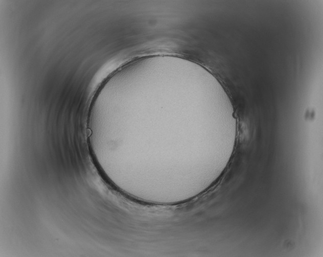 X0000111900004200908171249