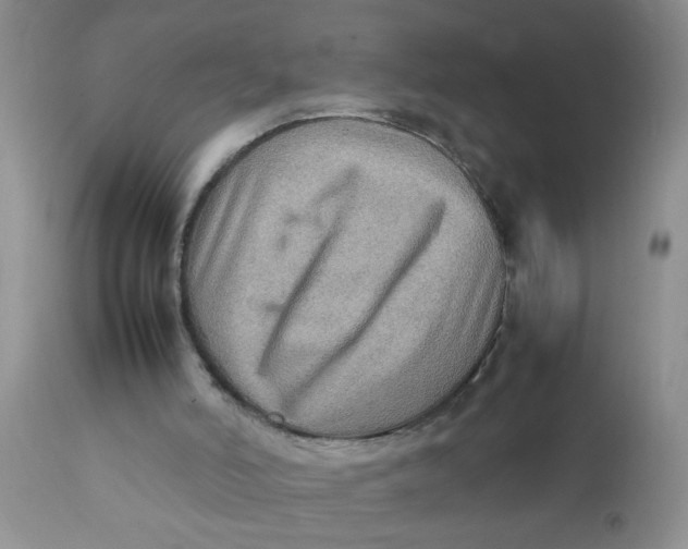 X0000111900006200908171249