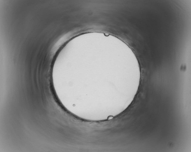 X0000111900007200908171249