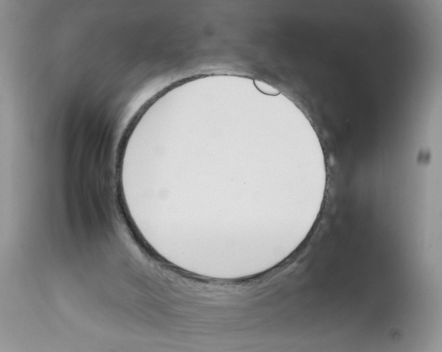 X0000111900008200908171249