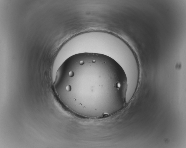 X0000111900009200908171249