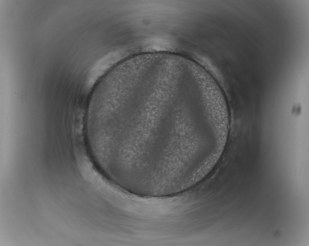 X0000111900010200908171249