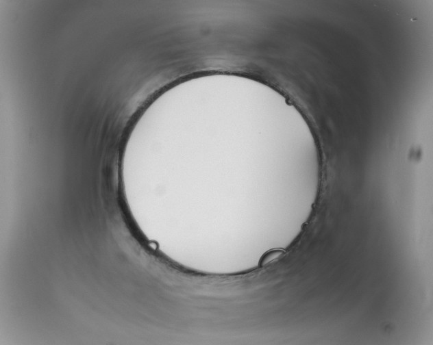 X0000111900011200908171249