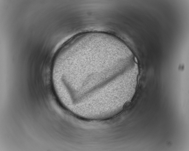 X0000111900012200908171249