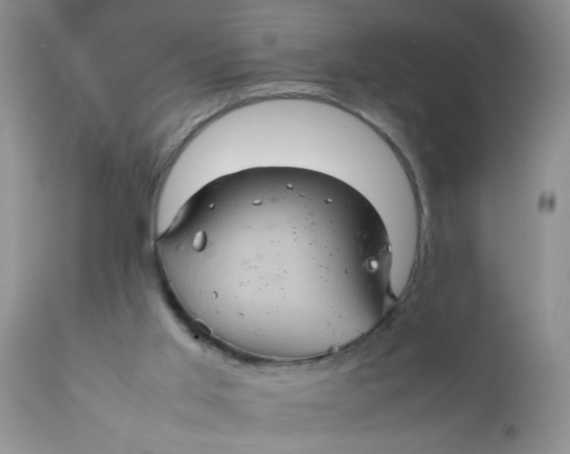 X0000111900013200908171249