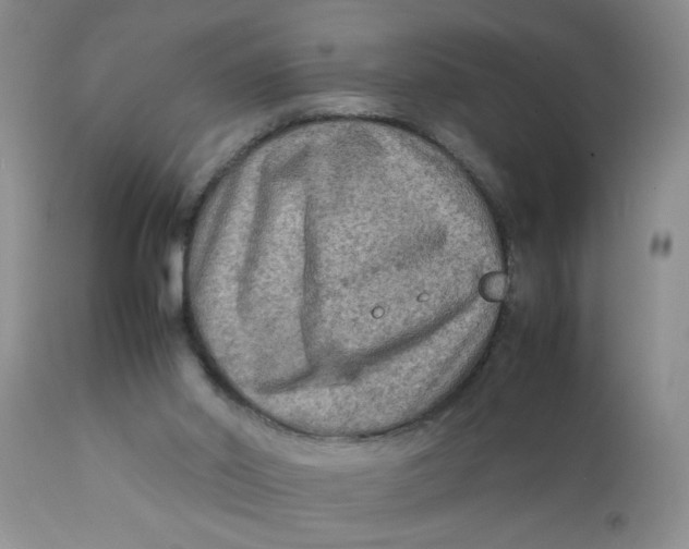 X0000111900014200908171249