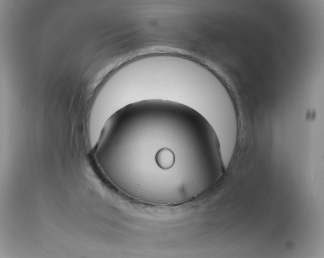 X0000111900015200908171249