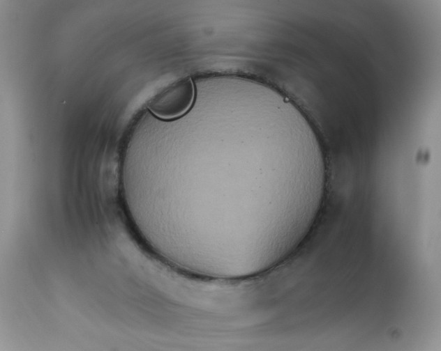 X0000111900016200908171249