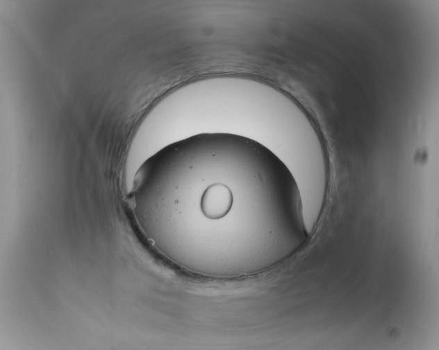 X0000111900017200908171249