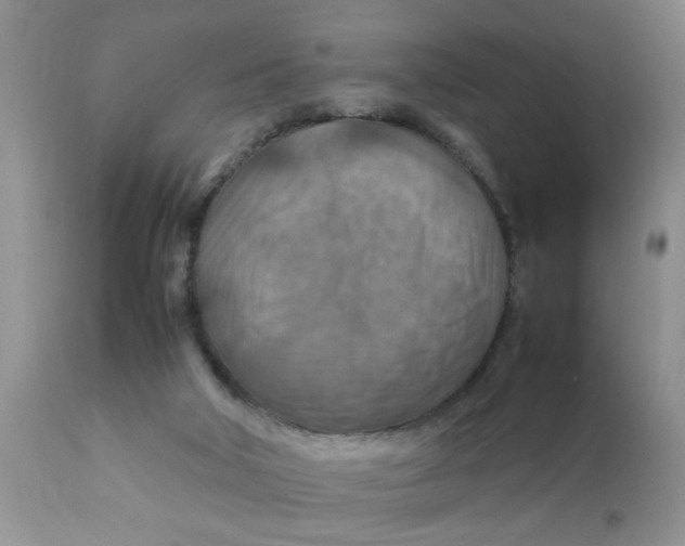 X0000111900018200908171249