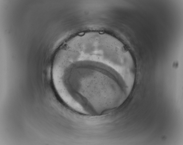 X0000111900019200908171249