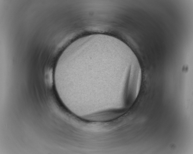 X0000111900020200908171249