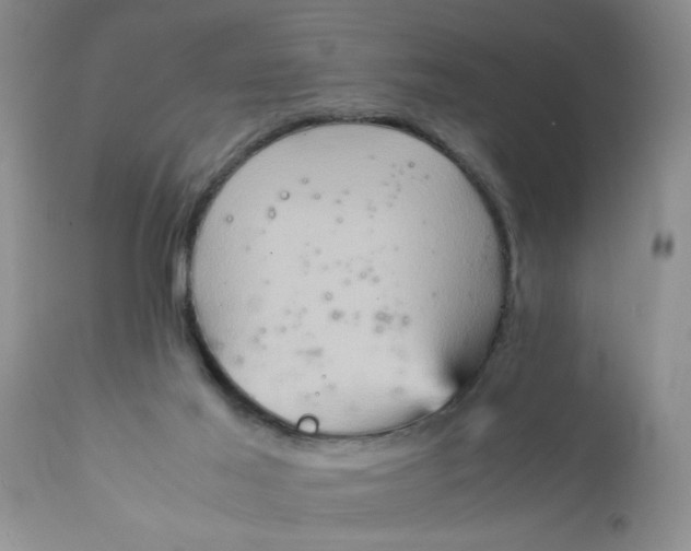 X0000111900021200908171249