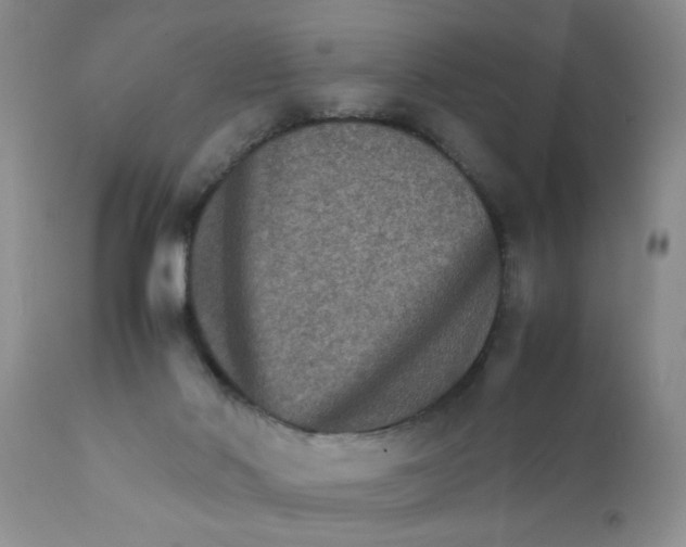 X0000111900022200908171249