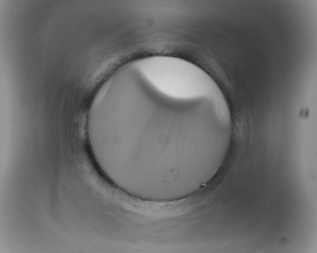 X0000111900023200908171249