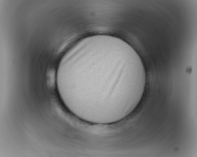 X0000111900024200908171249