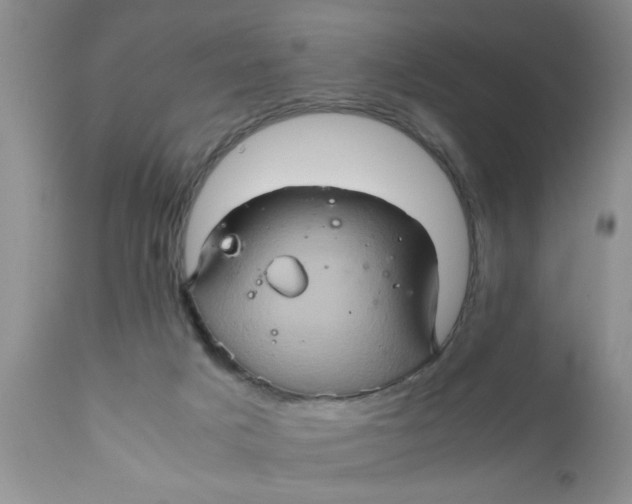 X0000111900025200908171249