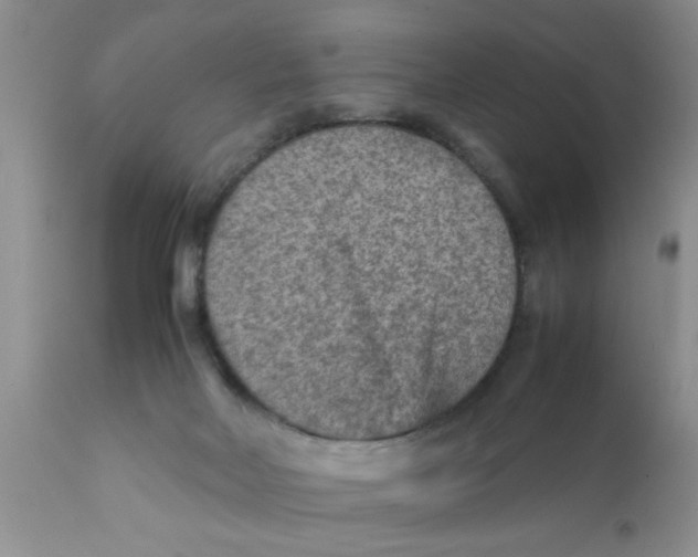 X0000111900026200908171249