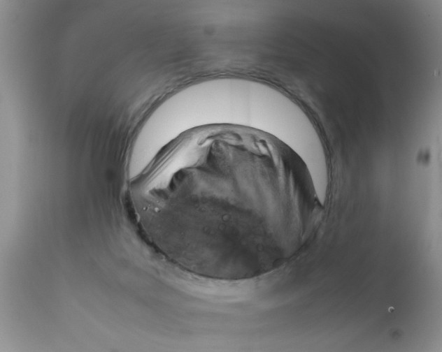 X0000111900027200908171249