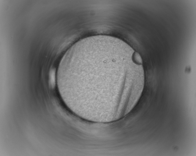 X0000111900028200908171249