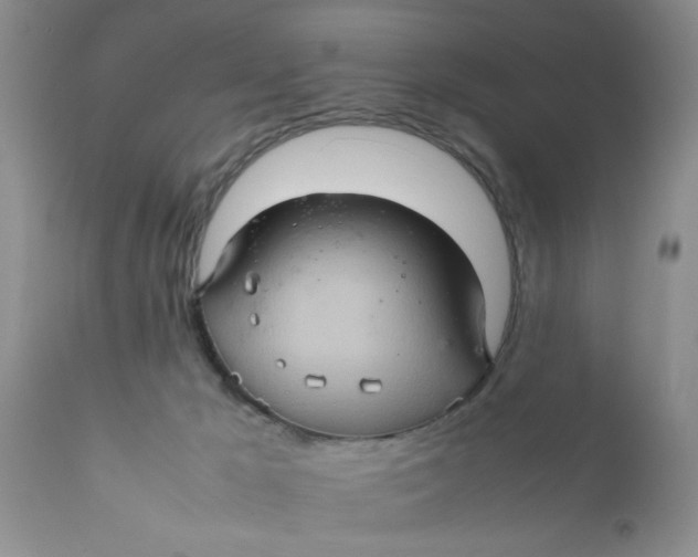 X0000111900029200908171249