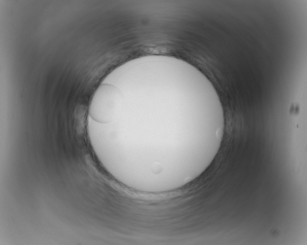 X0000111900030200908171249