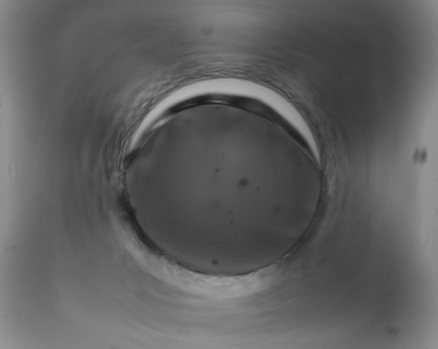 X0000111900031200908171249