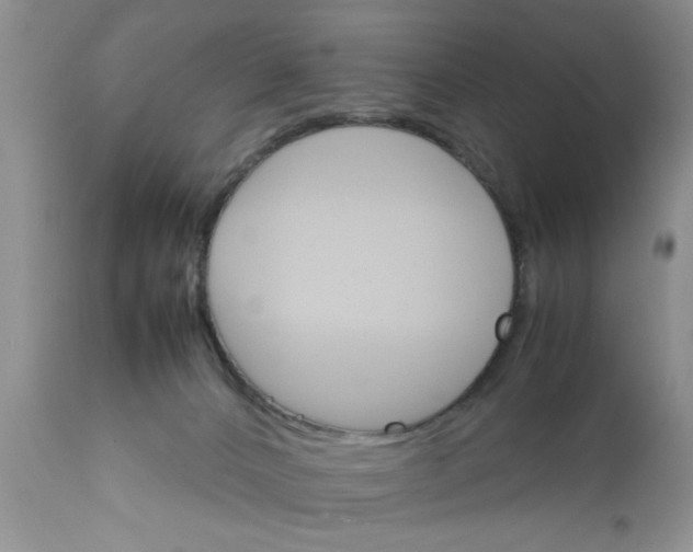 X0000111900032200908171249