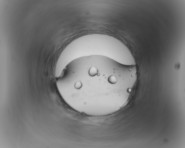 X0000111900033200908171249