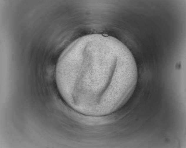 X0000111900034200908171249