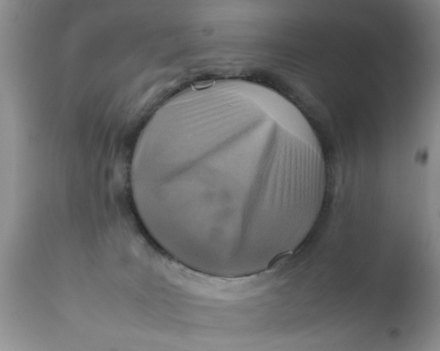 X0000111900035200908171249