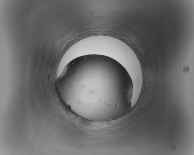 X0000111900037200908171249