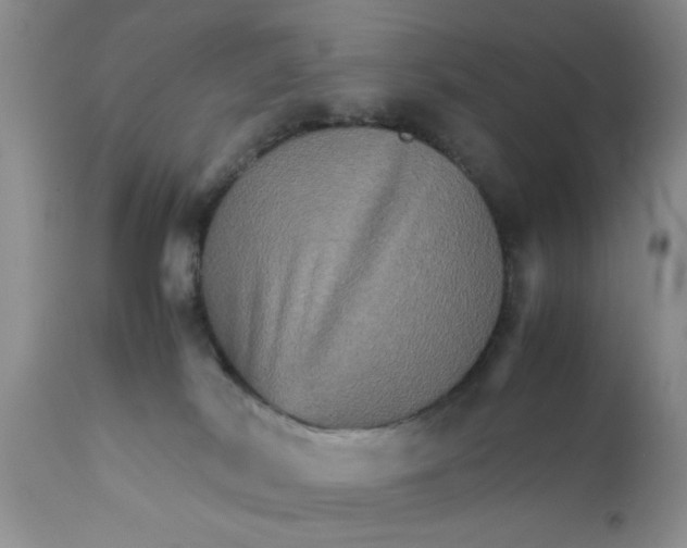 X0000111900038200908171249