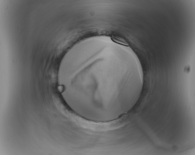 X0000111900039200908171249