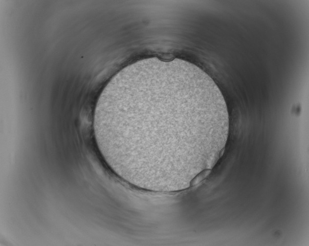 X0000111900040200908171249