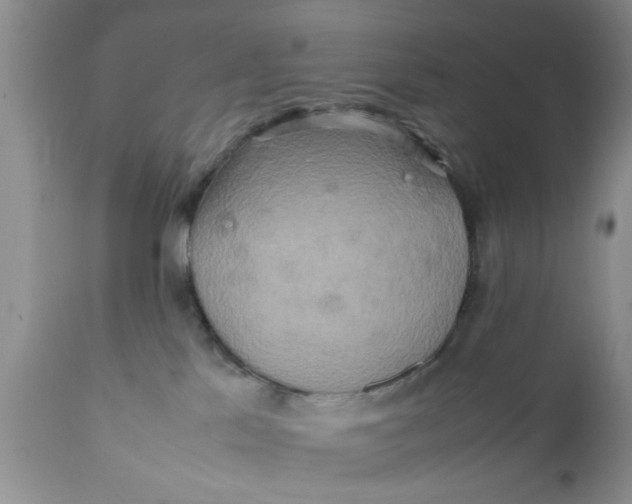 X0000111900041200908171249