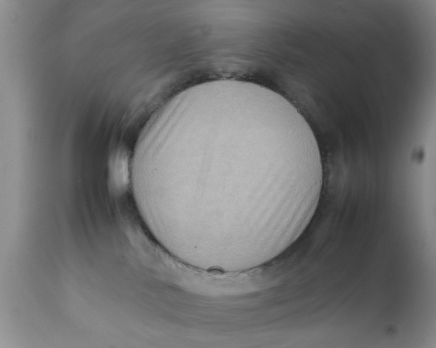 X0000111900042200908171249