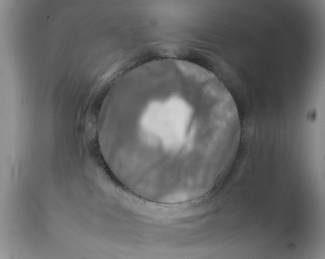 X0000111900043200908171249