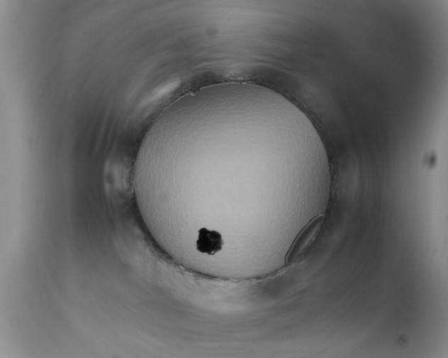 X0000111900044200908171249