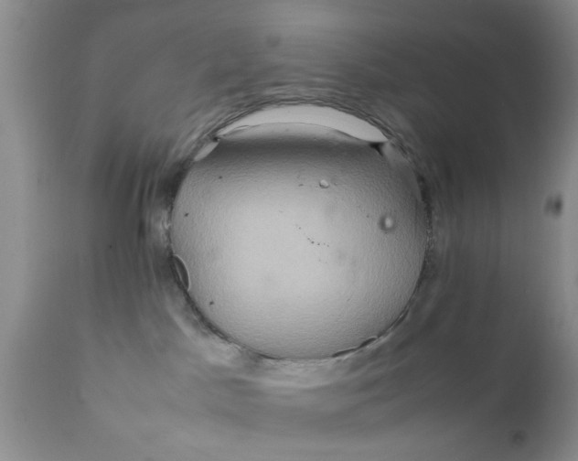 X0000111900045200908171249