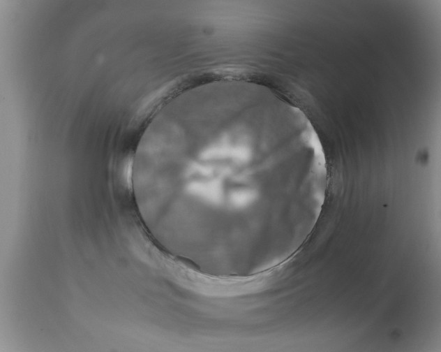 X0000111900047200908171249