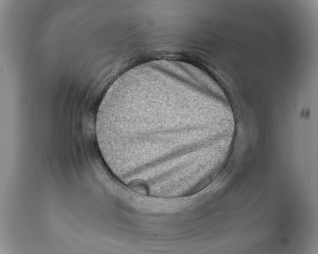 X0000111900048200908171249