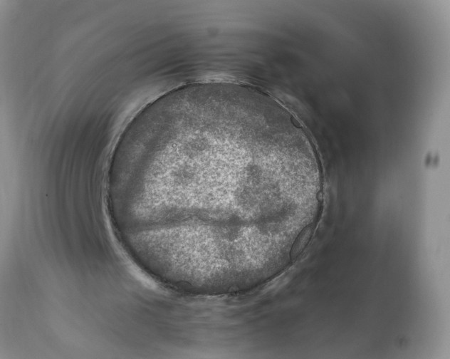 X0000111900049200908171248