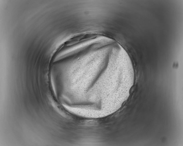 X0000111900050200908171248