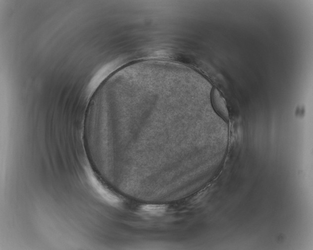 X0000111900051200908171248