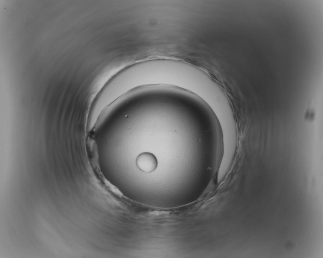 X0000111900052200908171248