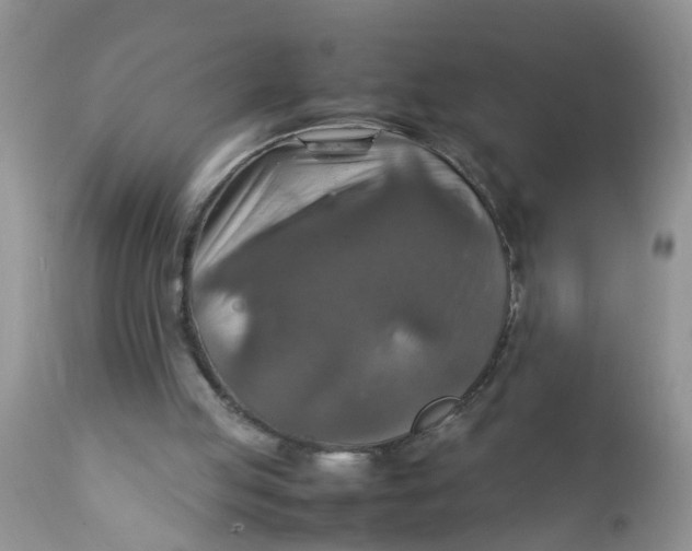 X0000111900053200908171248