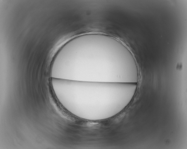 X0000111900055200908171248